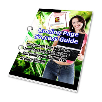 Landing Page Success Guide