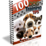 100 Dog Training Tips