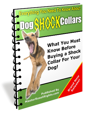 Buying Dog Shock Collars