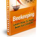 Bee Keeping